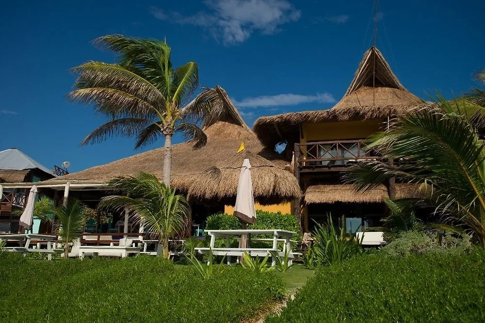 טולום El Pez A Colibri Boutique Hotel